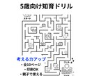 お子様専用の「太い線」なぞり書きドリル作ります 発達支援の視点で作る、視覚ノイズを抑えた極太ドリル イメージ8