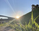 花札でどんなことも占います 最短30分！質問2個までOK！恋愛・学業・仕事… イメージ1