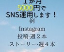 SNS運用します SNS運用に手が回らない方のお手伝いします！ イメージ1