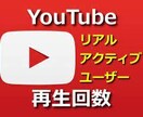 youtubeの視聴回数を＋1000増やします 安い！　なるべく早く納品いたします！最大1万再生 イメージ3