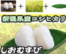 フライヤーデザイン、広告、メニュー表デザインします 経営者、イベント主催者必見！3000円〜デザインいたします。 イメージ4