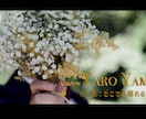ファンタジー映画予告風オープニングムービー作ります 【選べるテンプレ】夢の国やハリポタの雰囲気が好きな方向け イメージ9