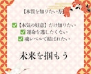 セックスの悩み◆体と心の相性◆霊視鑑定します セックスレス/性の悩み/身体の相性/夫婦/不倫/恋愛未来 イメージ9