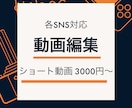 ショート動画編集を格安でお手伝いします 短時間で効果的な動画を作りたいへ！ イメージ1