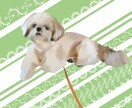 お好きな画像をイラストにします 推しの画像そのままじゃ使いにくいっ！個性を出したい方へ イメージ4