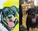 ペットの似顔絵制作します ワンちゃんの似顔絵制作します。 イメージ2