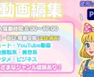 テンポ重視!見やすい動画編集します テンポと構成で“伝わる”映像に仕上げます イメージ1