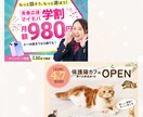 女性の反響が上がる高品質画像を特別価格で提供します 5名様限定1500円で綺麗で伝わるデザインをお作りします イメージ2