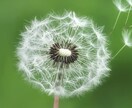 認知症になったご家族を介護するあなたの心を守ります 心理学×介護の実経験で、認知症になった人を支えるご家族を応援 イメージ1