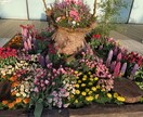 生活していく上で何か湧き出る気持ちお聞きします ハッピータイムを作りましょう♪ イメージ2