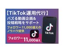 任せるならプロに！心を込めて対応します フォロワー1.1万人がバズる動画企画と運用をサポートします！ イメージ1