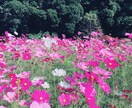 どんな事でもOK！5分からあなたのお話聞きます 人間関係・家庭・恋愛・子育て・眠れないあなたに寄り添います イメージ4