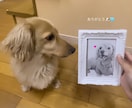 鉛筆画であなたのペットをリアルに描きます 大切なペットの思い出の瞬間をポストカードにしませんか？ イメージ3