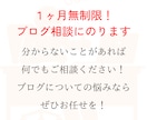 プロのブロガーが１ヶ月ブログコンサル担当します ブログ開設・SEO対策・WEBライティング・記事添削など イメージ3