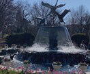 癒される景色の写真を販売します 美しい景色や自然やお花がメインです イメージ8