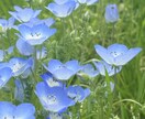 どんな思いも受け止めます 悩んでること・吐き出したいこと、なんでも言ってください！ イメージ1