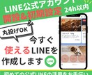 LINE公式アカウントの開設・初期設定します 24時間以内に納品★面倒な初期設定を任せて今すぐ使える！ イメージ1