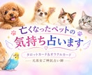ペットロス・亡くなったペットのメッセージ占います ペットの種類は問いません。亡くなったペットからのメッセージ イメージ2