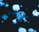 ワンコインヤンキーが30分間チャットで言い返します 暇つぶしに！気軽に楽しく！愚痴、悩み相談も！気合い入れます！ イメージ9