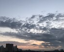 ピンポイントな場所のお写真お撮りします 多摩川周辺や川崎、蒲田周辺のお写真(空、風景)限定 イメージ1