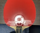 卓球に関するお悩み解決いたします 大事なのは「これからどうするか」です。 イメージ4