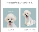 うちの子/ペットの似顔絵イラストをお描きします 多頭飼いOK！オーダーメイド制作。グッズ対応。母の日にも！ イメージ8