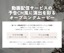 Netflixの予告CM風オープニングを作ります 修正無制限◎ 写真素材など、必要情報をお送りいただくだけ！ イメージ4