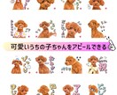 貴方の可愛いペット写真でLINEスタンプ作ります 愛するうちの子ちゃんを周りにアピールできるスタンプ イメージ2
