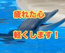 疲れた気持ちを吐き出して！私が味方になります 心の支えが必要な時、私が寄り添います。 イメージ1