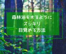 森林浴をするようにスッキリ目覚める方法を教えます 眠れた実感が無いほど寝不足でも、翌朝元気になれる3つの秘密 イメージ3