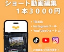 ショート動画・SNS動画を丁寧に編集します 就労継続支援B型クリエイティブチームがショート動画を制作！ イメージ1