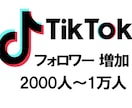 TikTokフォロワー2000人〜増やします 最大2万人まで 安心のSNS運用 イメージ2