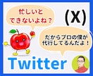 X運用歴4年のプロが1ヶ月まるごと代行ます 47アカウント担当｜完全手作業・毎日1投稿＋反応まわりまで イメージ1