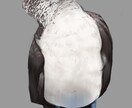 アイコンや、一枚絵、SDキャラの作成致します ○○に寄せた絵柄や文面からのキャラクター起こし等 イメージ4