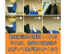 長年の腰痛が改善した体験をお話します 。足のストレッチで全身の痛み全てが、一気に軽減した方法 イメージ7