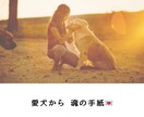 喋れない愛犬の想いを魂の手紙としてお届けします 愛犬との絆を深め、あなた自身の本当の声に気づく☆ イメージ1