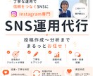 Instagram運用を丸ごとサポートします 企画・投稿作成・分析まで対応、アカウントの成長を支援します イメージ1