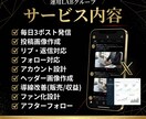 Xを1ヶ月運用代行｜アカウント収益導線を改善します 購入でプレゼント｜使用AIプロンプト&運用後も使えるノウハウ イメージ2