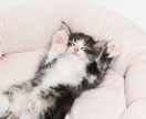気楽な話相手になります 話して簡単リフレッシュ♪気持ちが楽になります☆ イメージ10