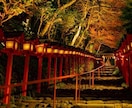 上級霊能占い師による総合占いと助言を致します 心霊・恋愛・仕事・財運・人間関係等をご鑑定させて頂きます イメージ2