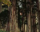 人間関係のしがらみを紐解き豊かな対人調和へ導きます 他者の本心を暴き、あなたが息をしやすい心地よい環境へ イメージ6