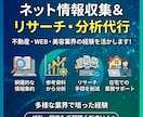 ネットでの情報収集・集計や資料分析を行います 莫大にある情報収集や資料分析を見やすくまとめます！ イメージ1
