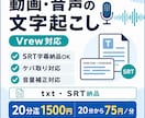 動画・音声の文字起こしを丁寧に行います 動画・音声の文字起こし｜Vrew/SRT対応・音量補正 イメージ1