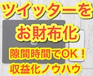 ツイッターをお財布化！半自動化ノウハウ教えます 隙間時間でもできる！収益化ノウハウ！！ イメージ1