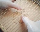 ハーピカレッスンします カリンバに似た楽器ハーピカです。 イメージ1