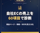 D2C専門！自社ECの売上を診断改善します EC売上7桁のプロが60項目で課題を見える化 イメージ1