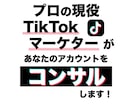 プロSNSマーケターが TikTokコンサルします プロ目線でアカウント分析、改善策＆企画提案をいたします！ イメージ1
