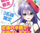 定価の半額！限定3名様にアイコン描きます 安いながらも丁寧！初めての方にもおすすめです。 イメージ1