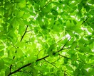 ミドル世代のあなたへ✨打ち明けてみて。全て聞きます 悩みから、ただのおしゃべりも☺安心してどんな事も話してみて イメージ5