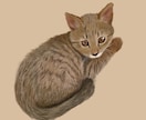 写真からそのまま猫の似顔絵を描きます 手書きであたたかみのあるイラスト(文字入れ可能) イメージ2